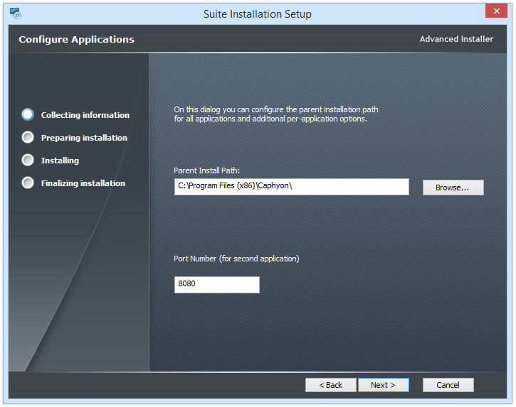 Suite Installation Additional Options